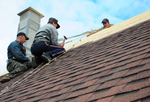 Best Roof Gutter Cleaning  in Charleston, SC
